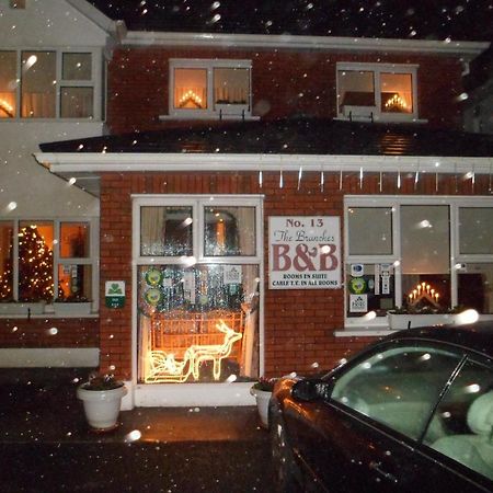 The Branches B&B Galway Bagian luar foto